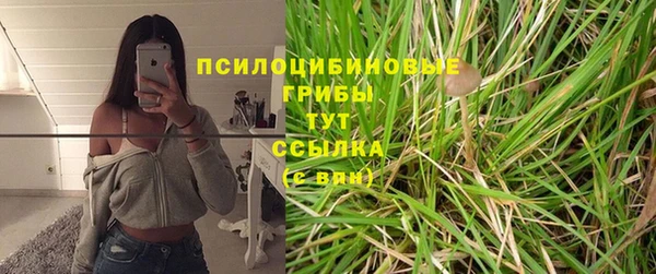 наркотики Богородицк