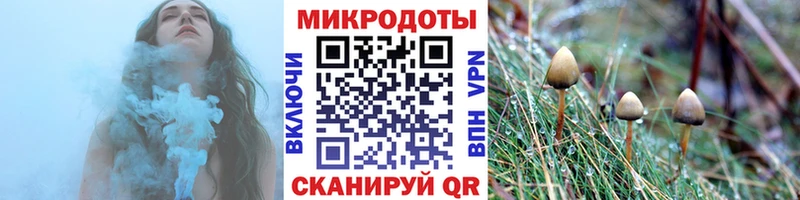 магазин продажи наркотиков  Щигры  Псилоцибиновые грибы GOLDEN TEACHER 