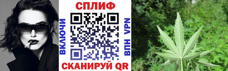 где купить наркотик  Щигры  Бошки марихуана Ganja 